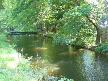 propriete a vendre Jeanménil 88700 Vosges 580 m2 16 pièces 1248000 euros