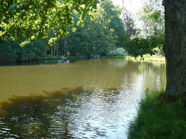 propriete a vendre Jeanménil 88700 Vosges 580 m2 16 pièces 1248000 euros