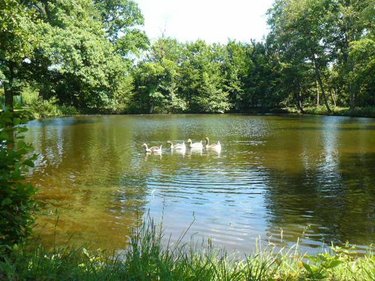 propriete a vendre Jeanménil 88700 Vosges 580 m2 16 pièces 1248000 euros