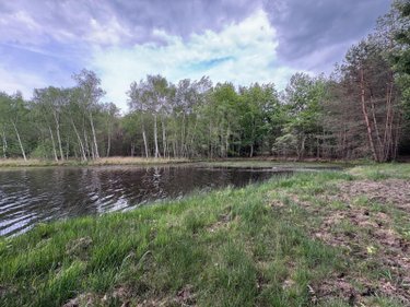 propriete a vendre Souesmes 41300 Loir-et-Cher 117 m2 5 pièces 538175 euros