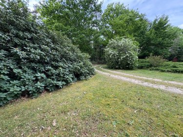 propriete a vendre Souesmes 41300 Loir-et-Cher 117 m2 5 pièces 538175 euros