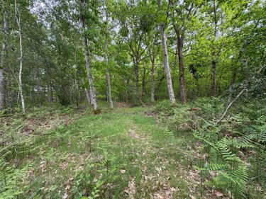 Maison a vendre Souesmes 41300 Loir-et-Cher 117 m2 5 pièces 538175 euros