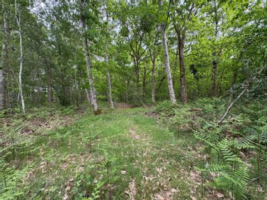 propriete a vendre Souesmes 41300 Loir-et-Cher 117 m2 5 pièces 538175 euros