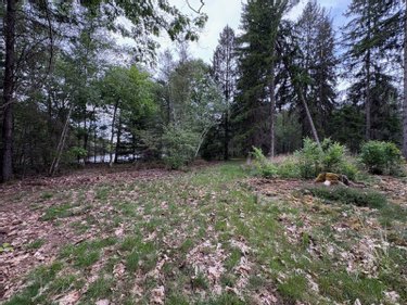 Maison a vendre Souesmes 41300 Loir-et-Cher 117 m2 5 pièces 538175 euros