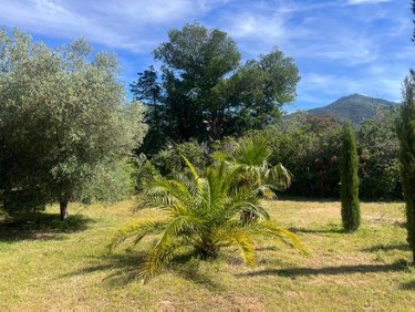 Maison a vendre Laroque-des-Albères 66740 Pyrénées-Orientales 207 m2 6 pièces 430000 euros