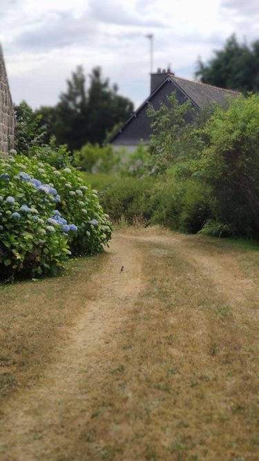 Maison a vendre Bieuzy 56310 Morbihan 176 m2 6 pièces 249000 euros