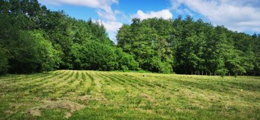Terrain a batir a vendre Bazas 33430 Gironde 1142 m2  50400 euros
