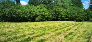 Terrain a batir a vendre Bazas 33430 Gironde 1142 m2  50400 euros