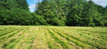 Terrain a batir a vendre Bazas 33430 Gironde 1142 m2  50400 euros