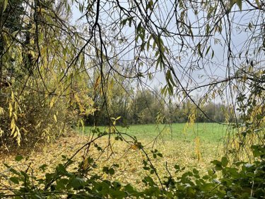 Maison a vendre Bailleul 59270 Nord 103 m2 3 pièces 341250 euros