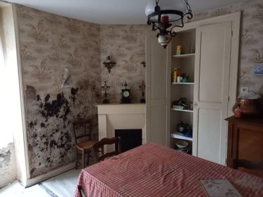 Maison a vendre Vic-sur-Cère 15800 Cantal 180 m2 11 pièces 53000 euros