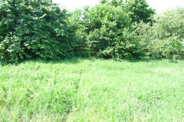 Garage et parking a vendre Chantrigné 53300 Mayenne 45 m2  11000 euros