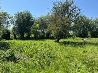 Terrains de loisirs bois etangs a vendre Bierne 59380 Nord 1896 m2  17500 euros