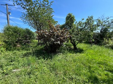Terrains de loisirs bois etangs a vendre Bierne 59380 Nord 1896 m2  17500 euros