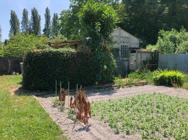 Terrains de loisirs bois etangs a vendre Issoudun 36100 Indre 1361 m2  8800 euros