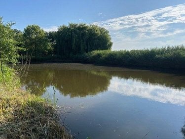 Terrains de loisirs bois etangs a vendre Baugé-en-Anjou 49150 Maine-et-Loire 9656 m2  38500 euros