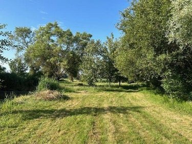 Terrains de loisirs bois etangs a vendre Baugé-en-Anjou 49150 Maine-et-Loire 9656 m2  38500 euros