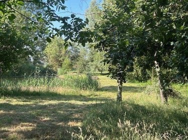 Terrains de loisirs bois etangs a vendre Baugé-en-Anjou 49150 Maine-et-Loire 9656 m2  38500 euros