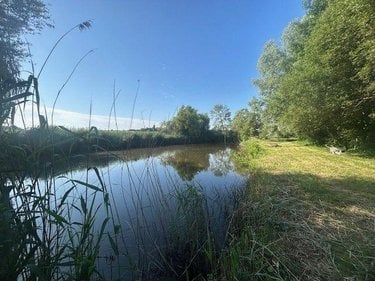 Terrains de loisirs bois etangs a vendre Baugé-en-Anjou 49150 Maine-et-Loire 9656 m2  38500 euros