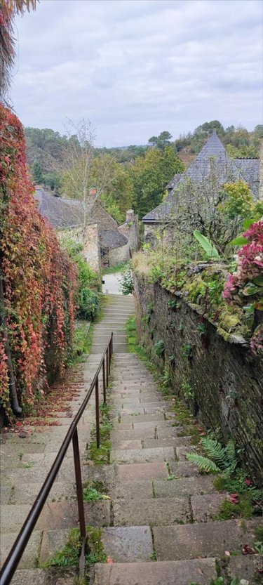 Maison a vendre Rochefort-en-Terre 56220 Morbihan 40 m2 3 pièces 116240 euros