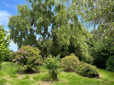 Maison a vendre Rosporden 29140 Finistère 100 m2 5 pièces 188640 euros
