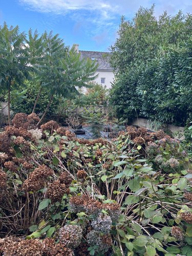 Maison a vendre Quimper 29000 Finistère 90 m2 4 pièces 210000 euros