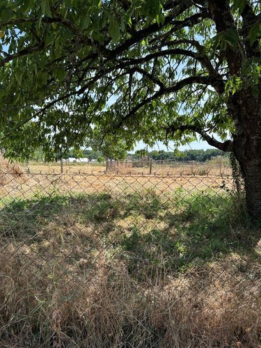 Terrain a batir a vendre Thilouze 37260 Indre-et-Loire 728 m2  84700 euros