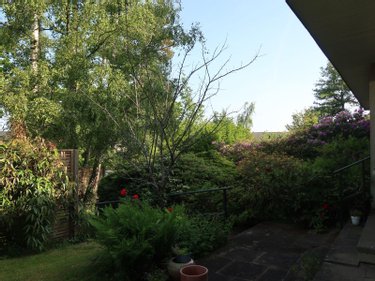 Location maison Pacé 35740 Ille-et-Vilaine 150 m2 6 pièces 1495 euros