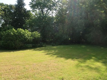 Location maison Pacé 35740 Ille-et-Vilaine 150 m2 6 pièces 1495 euros