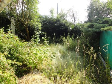 Maison a vendre Bailleul 59270 Nord 99 m2 4 pièces 152000 euros