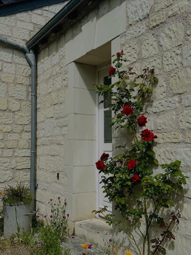 Maison a vendre Avoine 37420 Indre-et-Loire 110 m2 6 pièces 180800 euros