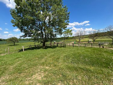 Divers a vendre Domfront-en-Champagne 72240 Sarthe 200 m2  53000 euros