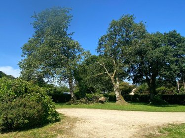 Maison a vendre Scaër 29390 Finistère 152 m2 8 pièces 254400 euros