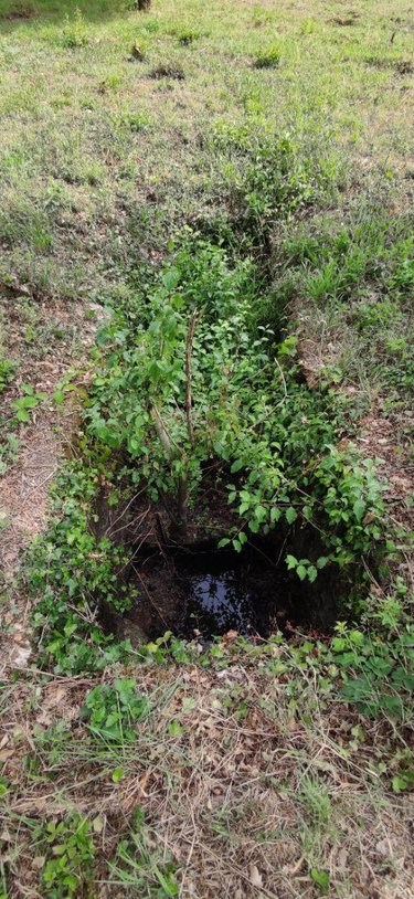 Terrains de loisirs bois etangs a vendre Chârost 18290 Cher 994 m2  6300 euros