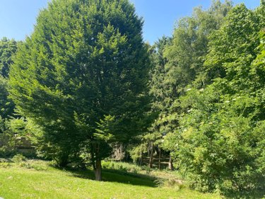 Maison a vendre Boeschepe 59299 Nord 98 m2 4 pièces 215000 euros
