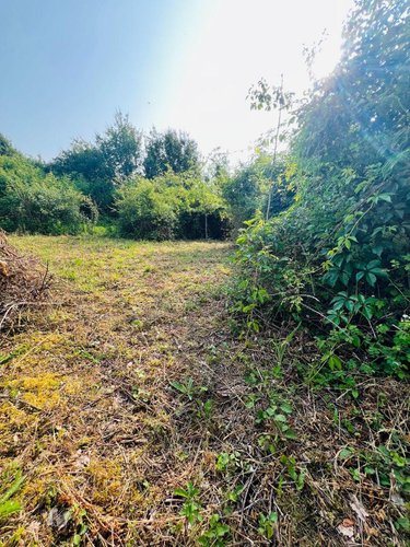 Maison a vendre Écueillé 36240 Indre 50 m2 3 pièces 25500 euros