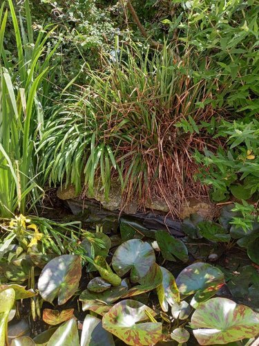 Maison a vendre Camaret-sur-Mer 29570 Finistère 81 m2 5 pièces 221340 euros