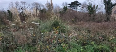 Terrain a batir a vendre Lanvéoc 29160 Finistère 898 m2  63600 euros