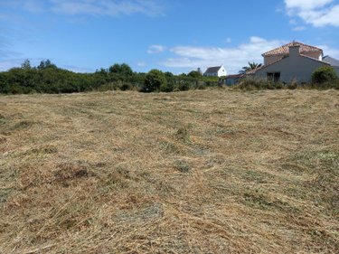 Terrain a batir a vendre Camaret-sur-Mer 29570 Finistère 1355 m2  173900 euros