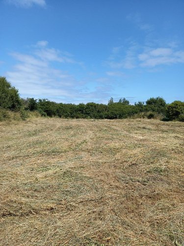Terrain a batir a vendre Camaret-sur-Mer 29570 Finistère 1355 m2  173900 euros