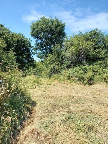 Terrain a batir a vendre Camaret-sur-Mer 29570 Finistère 1355 m2  173900 euros