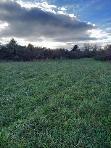 Terrain a batir a vendre Camaret-sur-Mer 29570 Finistère 3924 m2  42240 euros