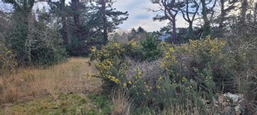 Terrain a batir a vendre Crozon 29160 Finistère 740 m2  95400 euros