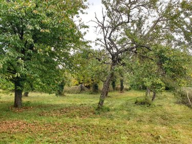 Maison a vendre Val-de-Vière 51340 Marne 114 m2 4 pièces 110000 euros