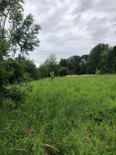 Terrain a batir a vendre Sermaize-les-Bains 51250 Marne 4610 m2  33600 euros
