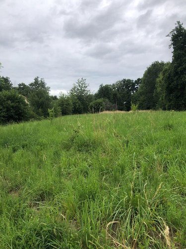 Terrain a batir a vendre Sermaize-les-Bains 51250 Marne 4610 m2  33600 euros