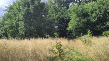 Terrain a batir a vendre Sermaize-les-Bains 51250 Marne 4610 m2  33600 euros