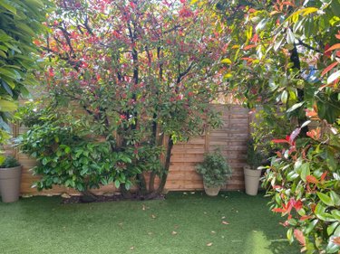 Maison a vendre Bordeaux 33000 Gironde 95 m2 5 pièces 277000 euros