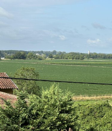 Maison a vendre Tabanac 33550 Gironde 68 m2 3 pièces 152250 euros