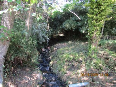 propriete a vendre La Lanterne-et-les-Armonts 70270 Haute-Saône 223 m2 9 pièces 396000 euros